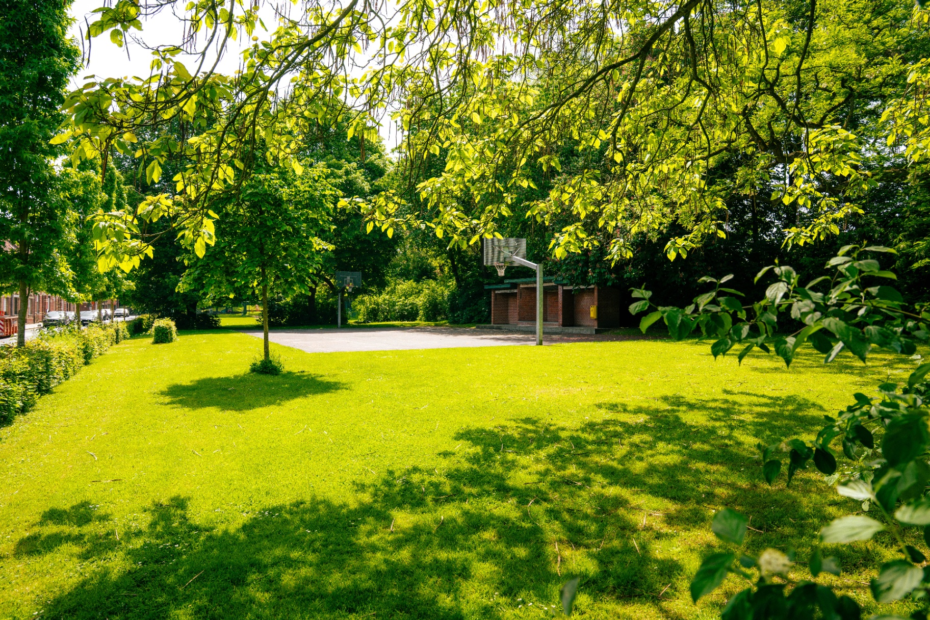 Basketbalveld in het buurtpark
