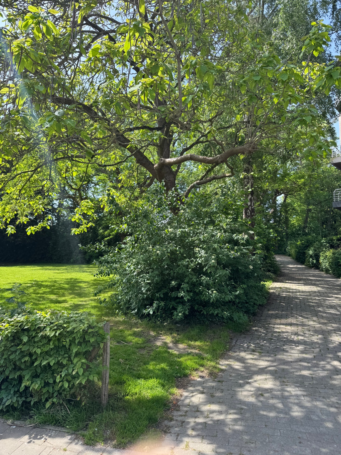 Groene toegang naar de vesting van Ieper